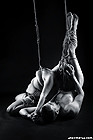 Click to enlarge Highslide JS