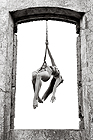 Click to enlarge Highslide JS