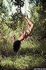 Click to enlarge Highslide JS